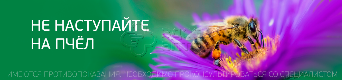 Пчелиный яд: чем полезен укус пчелы?
