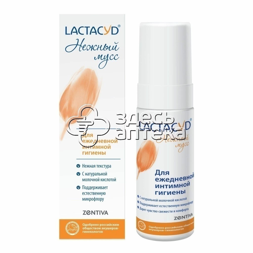 Вологдадағы интимдік танысу